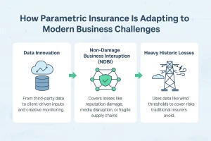 Parametric Insurance